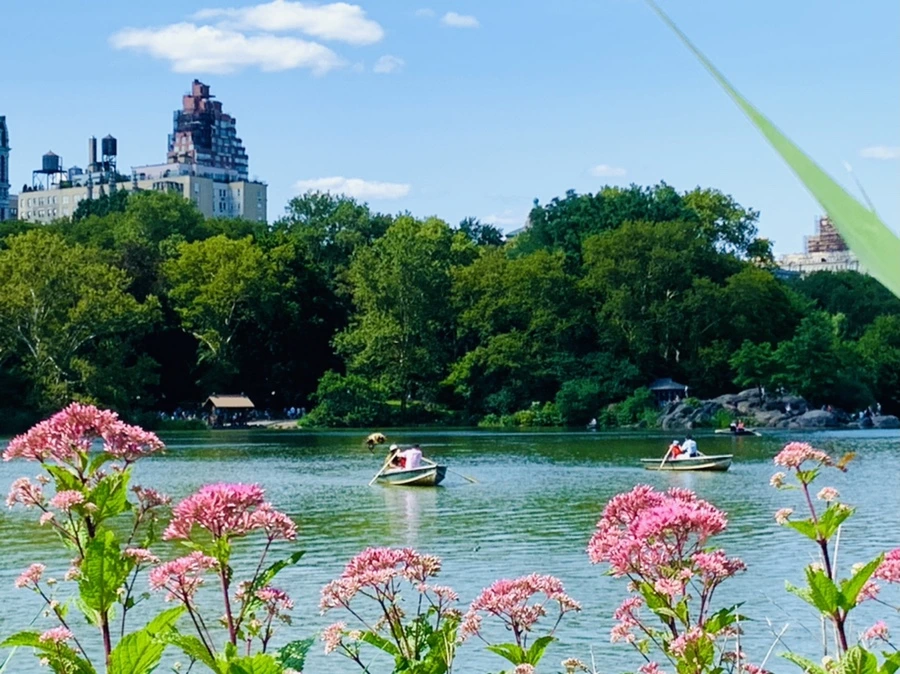 IMG_4466.jpg?type=w966