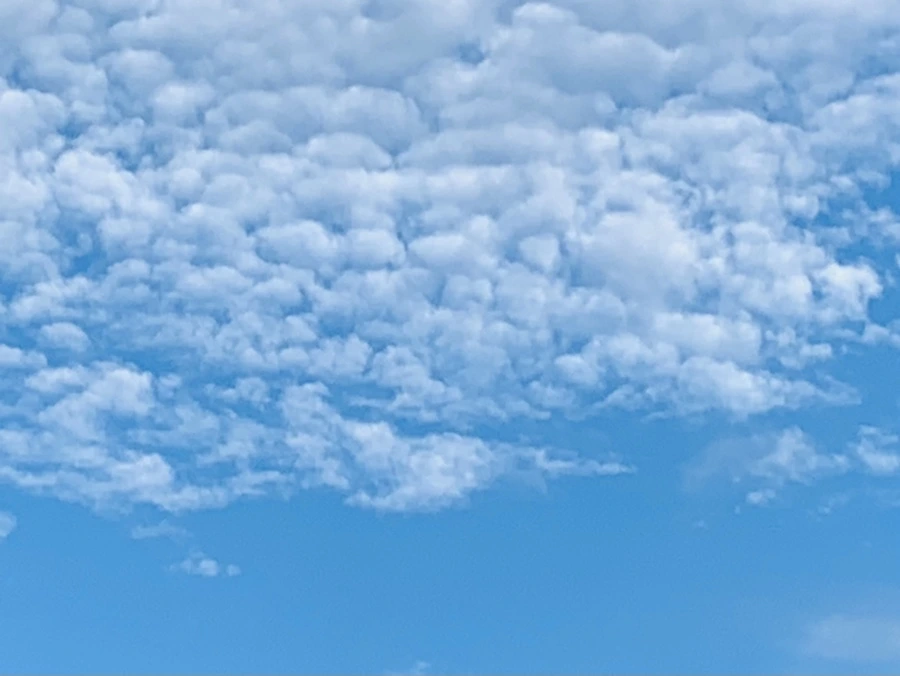 IMG_6985.jpg?type=w966