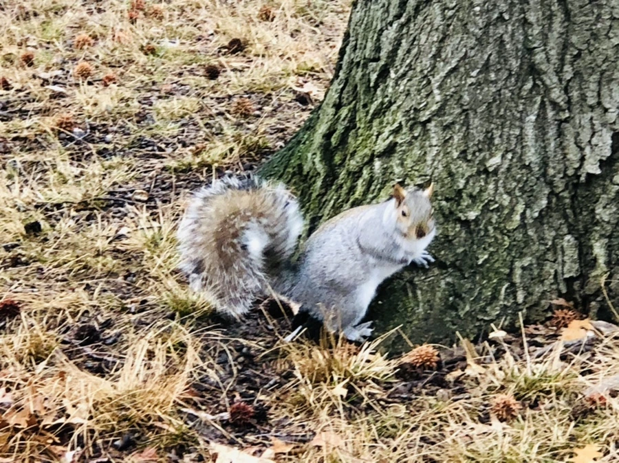 IMG_9548.jpg?type=w966