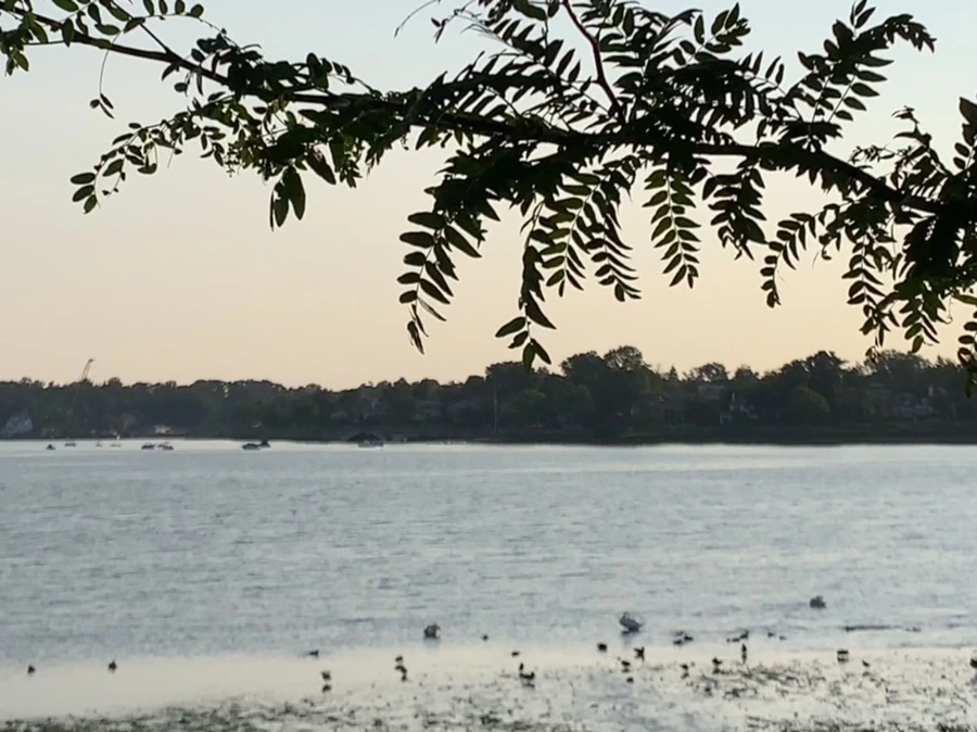 IMG_9821.jpg?type=w966