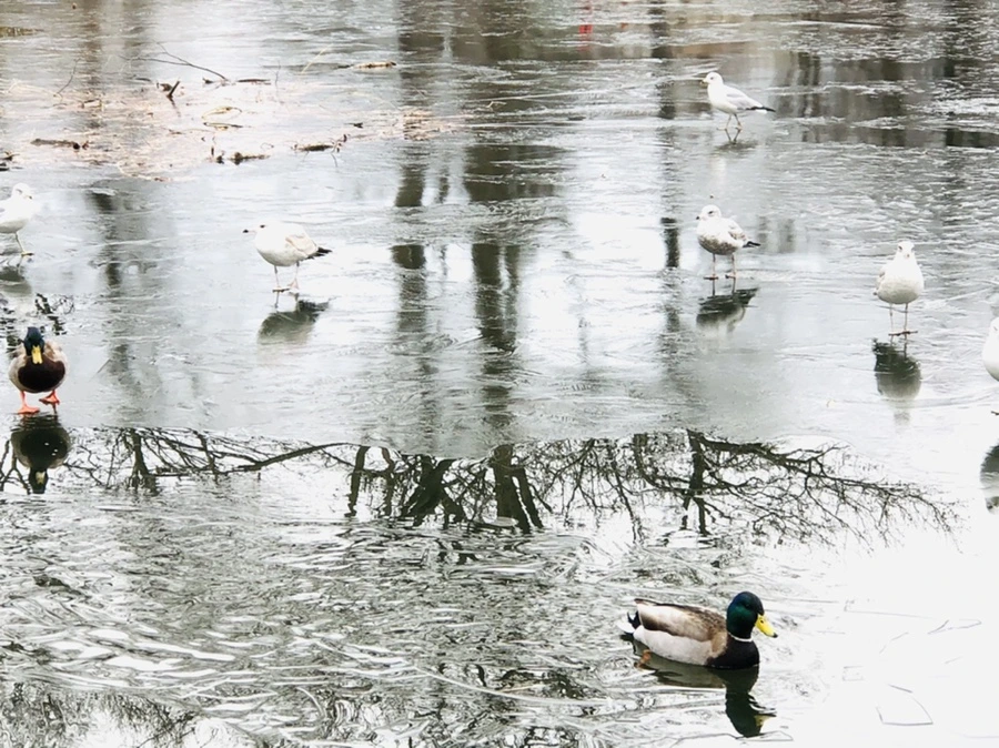 IMG_9024.jpg?type=w966