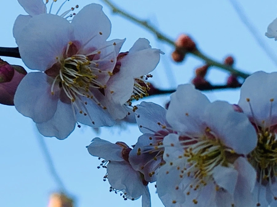 IMG_0941.jpg?type=w966