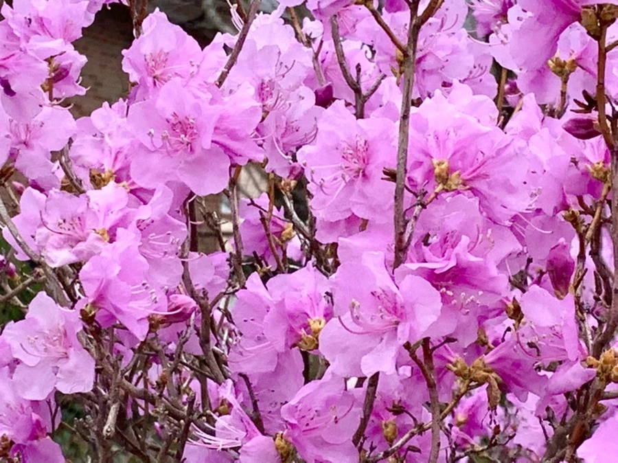 IMG_5968.jpg?type=w966