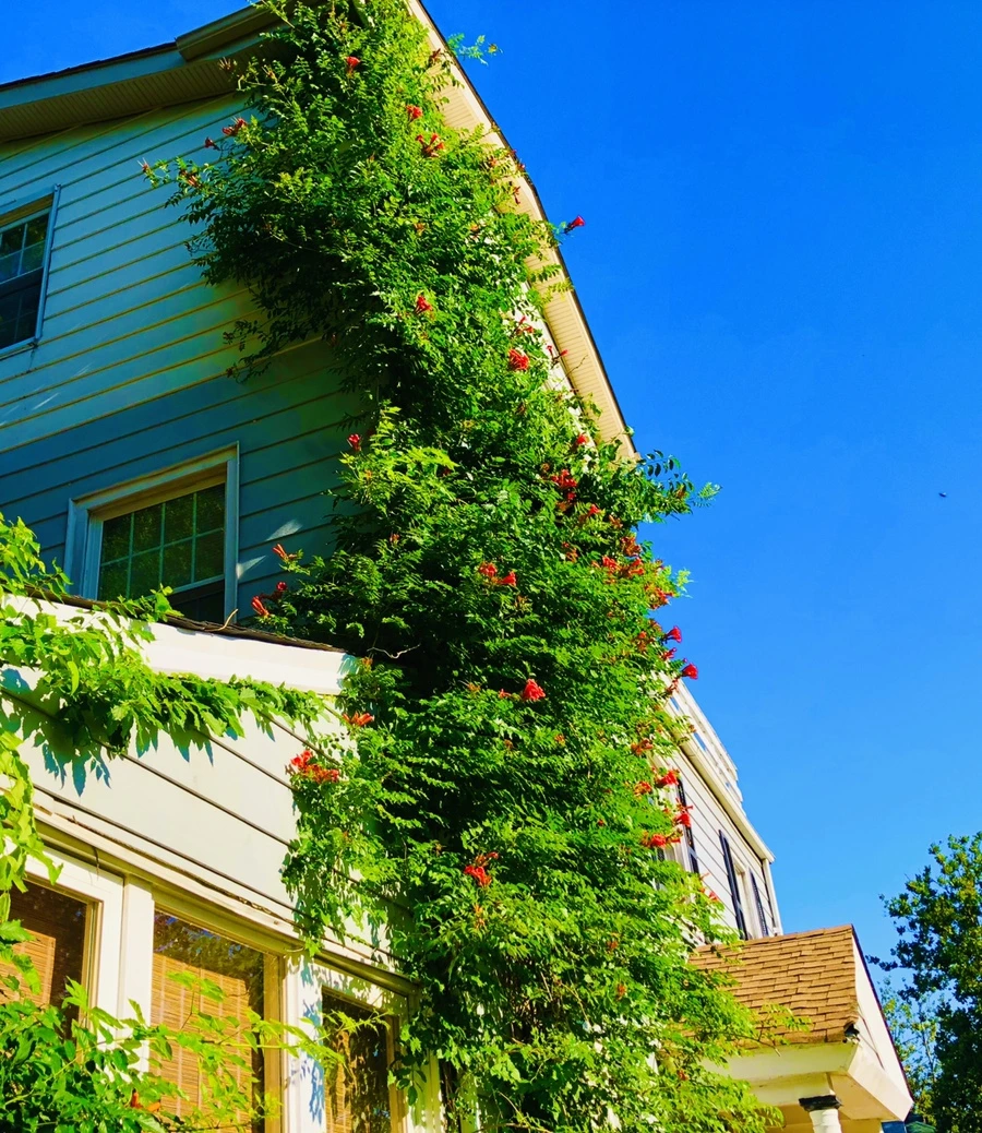 IMG_2766.jpg?type=w966