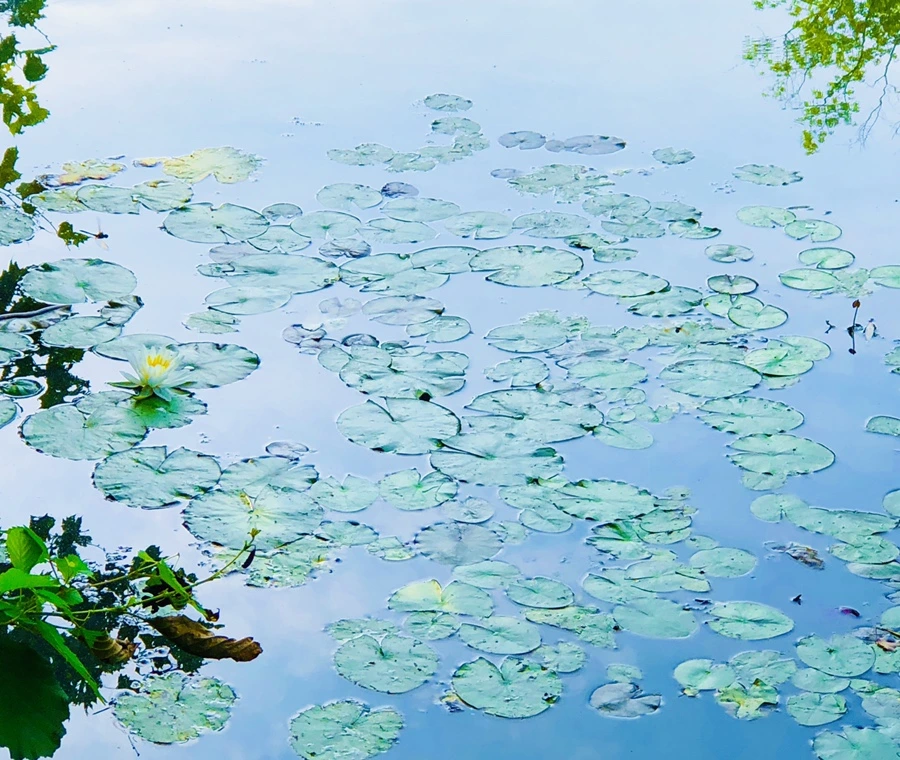 IMG_4943.jpg?type=w966