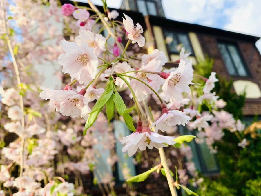 IMG_3790.jpg?type=w966