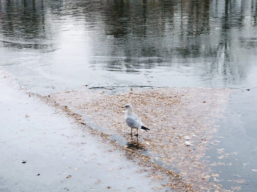 S7KpOEJYXOFgyFlv3AZqXOHqsA4