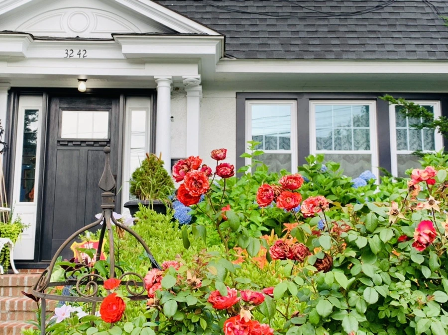 IMG_7333.jpg?type=w966