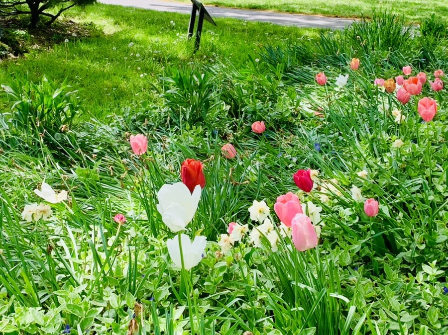 IMG_1368.jpg?type=w966