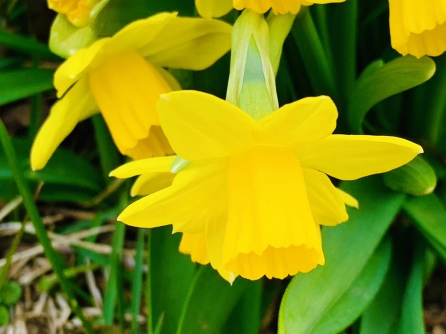 IMG_3222.jpg?type=w966