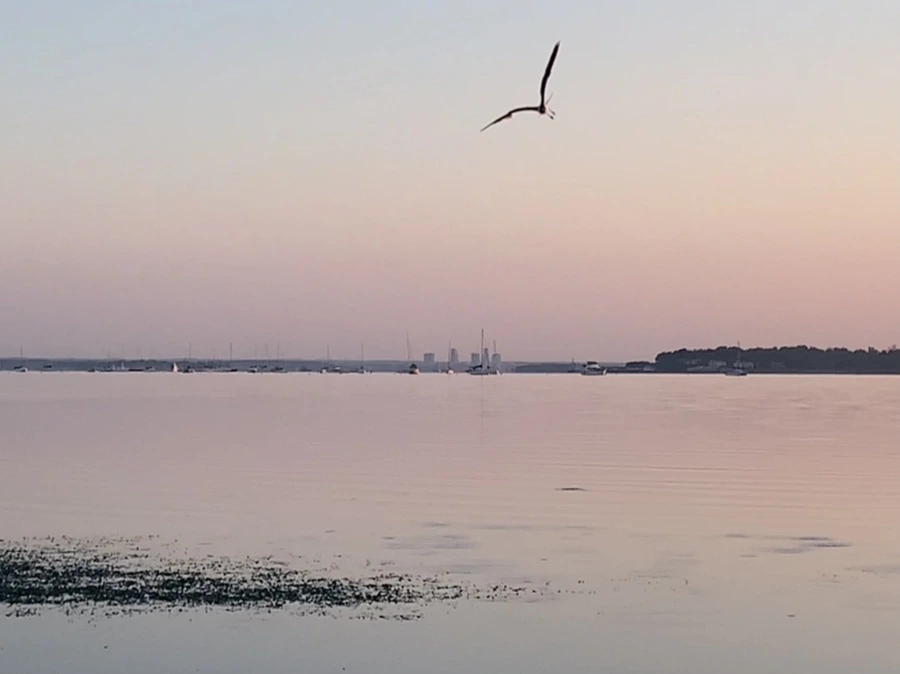 IMG_0148.jpg?type=w966