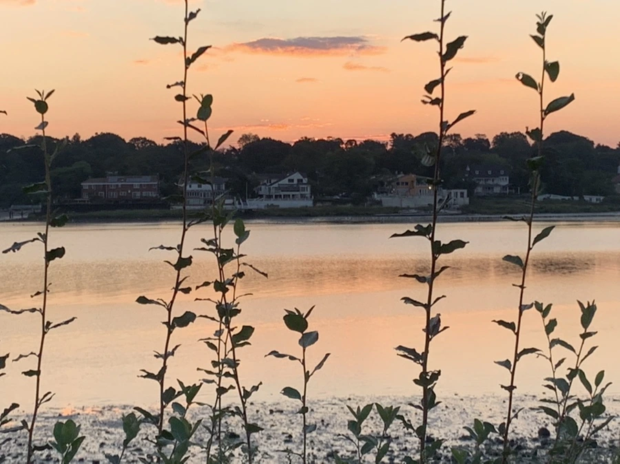 IMG_8826.jpg?type=w966