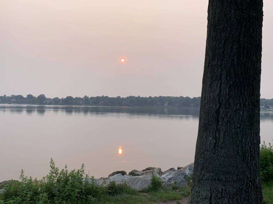 IMG_8083.jpg?type=w966