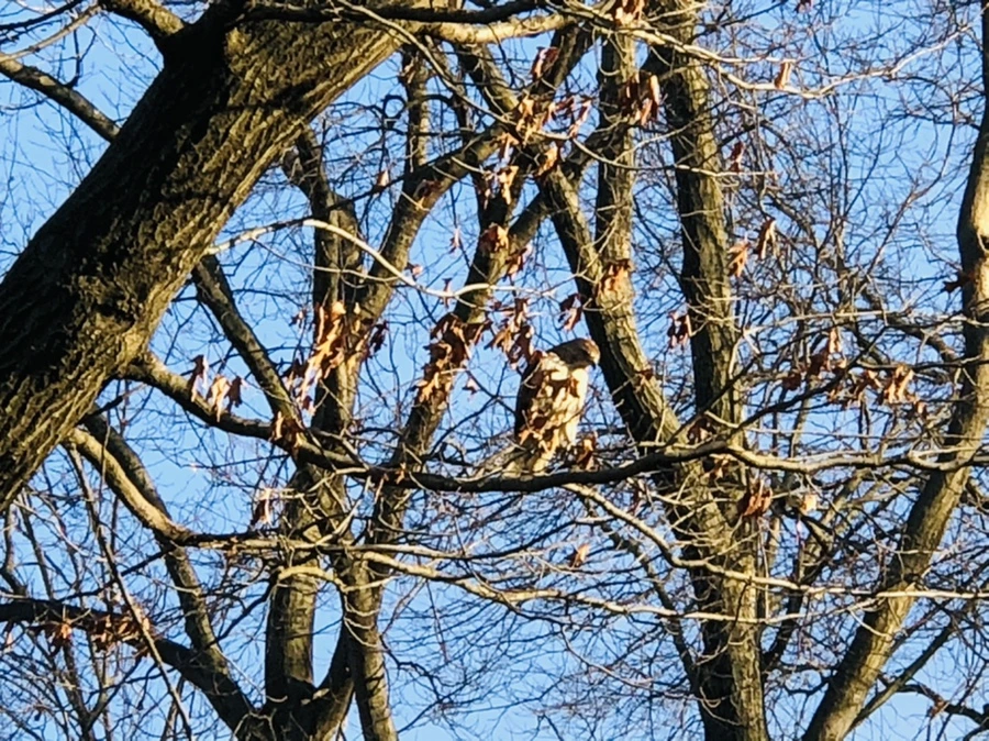 IMG_4841.jpg?type=w966