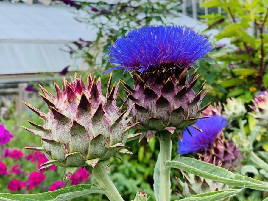 IMG_9395.jpg?type=w966