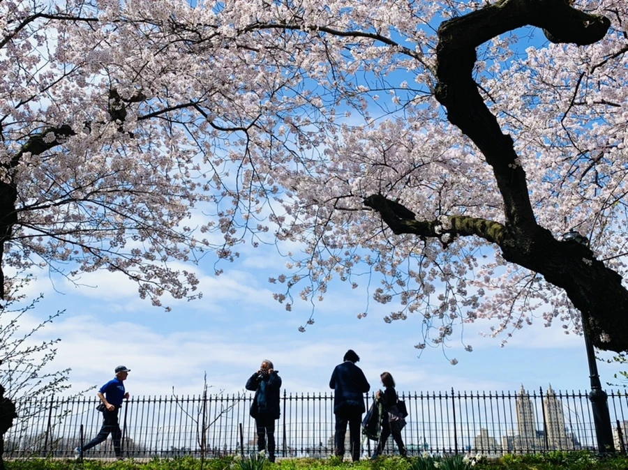 IMG_0120.jpg?type=w966