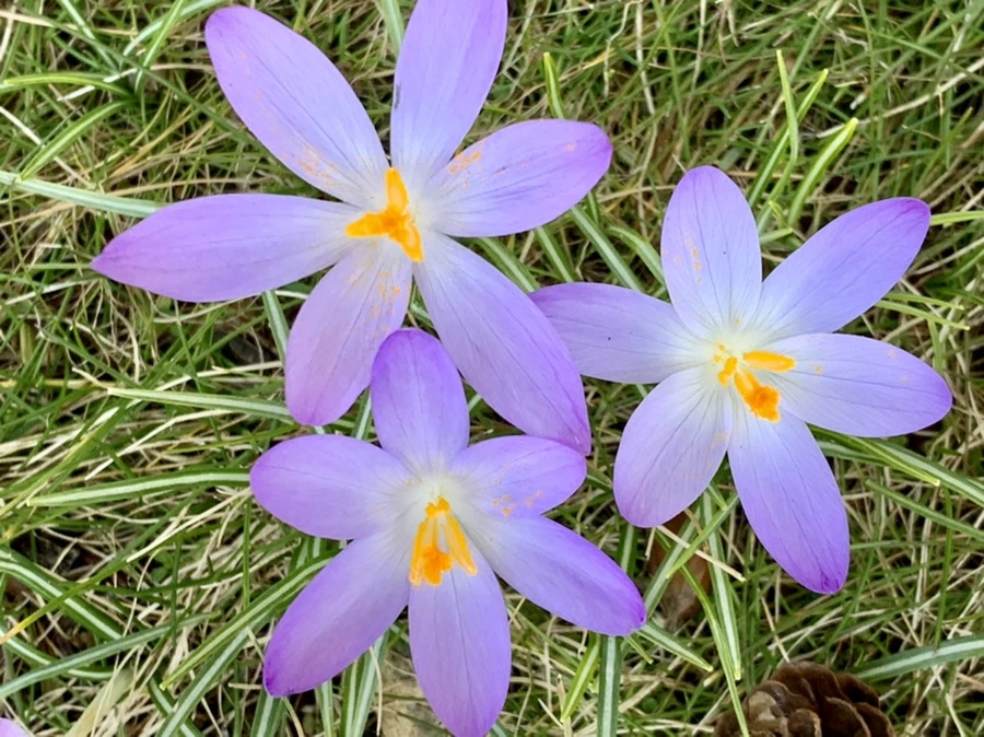 IMG_9225.jpg?type=w966