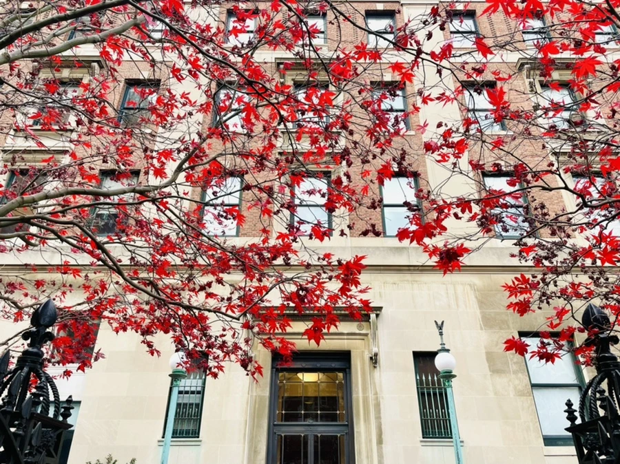 IMG_6312.jpg?type=w966