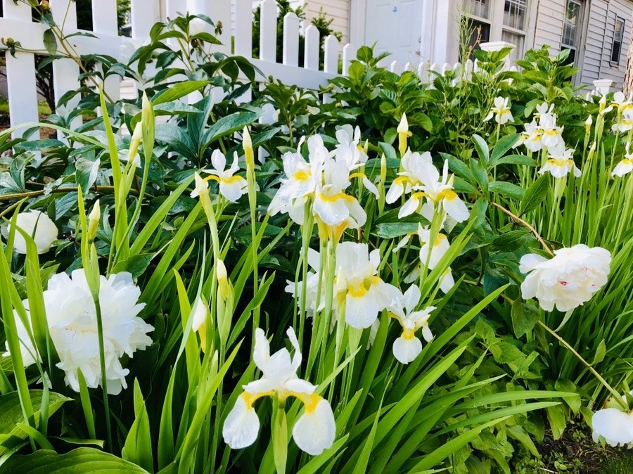 V88p_96aHmjSaR1BneMvi9vGrJ4