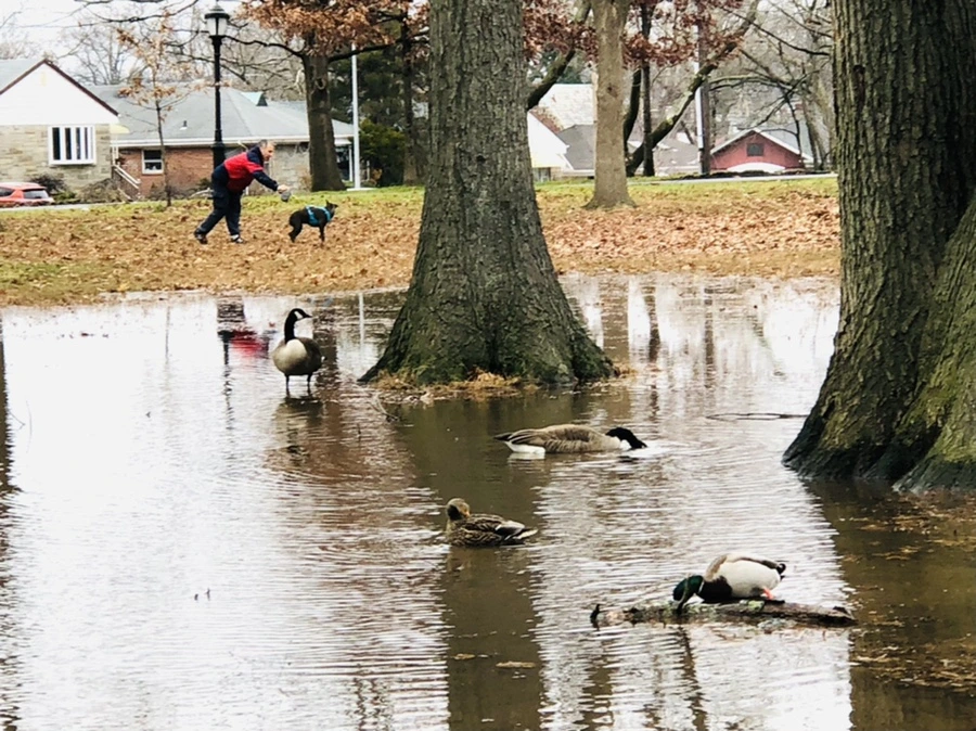 IMG_9506.jpg?type=w966