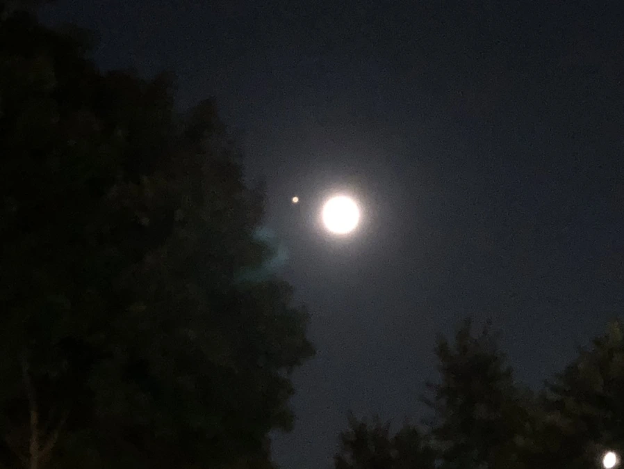 IMG_1293.jpg?type=w966