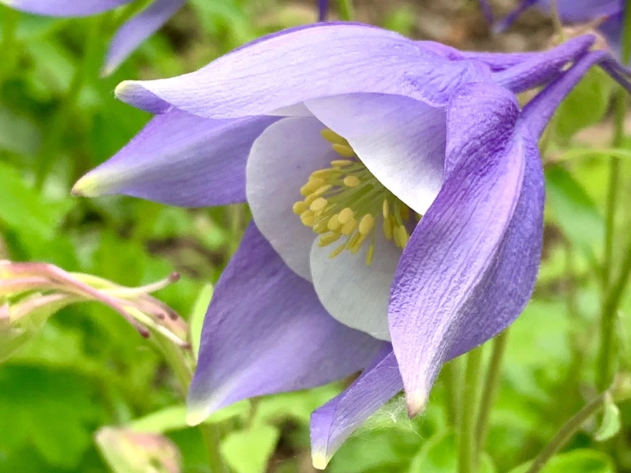 IMG_1227.jpg?type=w966