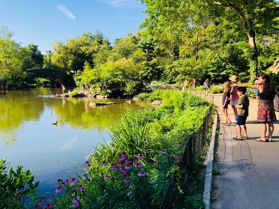 IMG_9919.jpg?type=w966