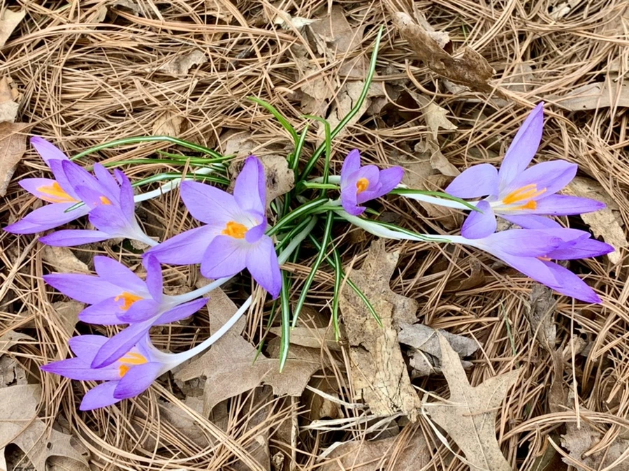 IMG_1239.jpg?type=w966