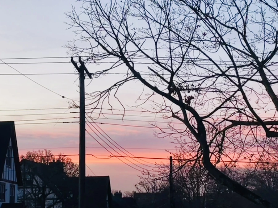 IMG_7479.jpg?type=w966