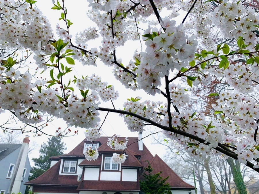 IMG_0491.jpg?type=w966