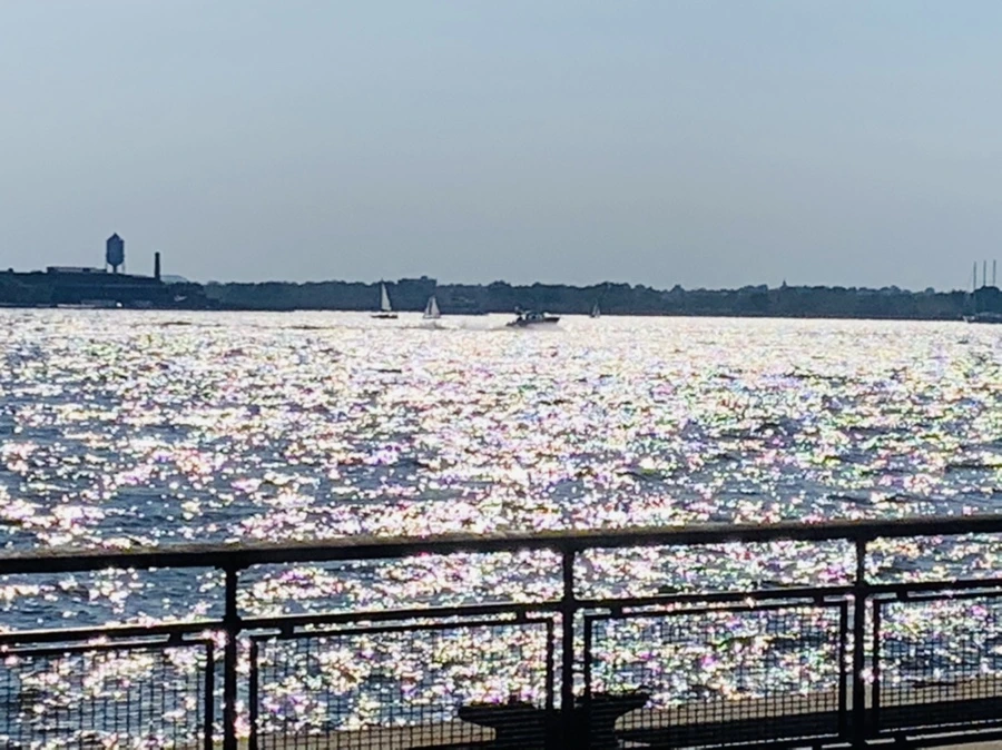 IMG_1129.jpg?type=w966