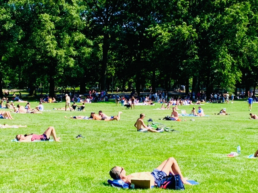 IMG_4404.jpg?type=w966