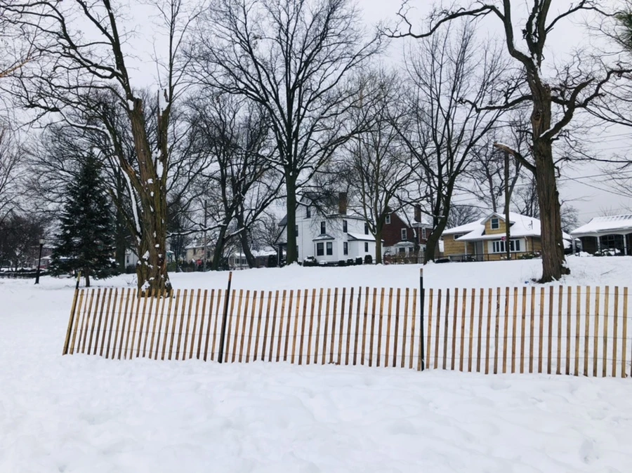 IMG_1538.jpg?type=w966