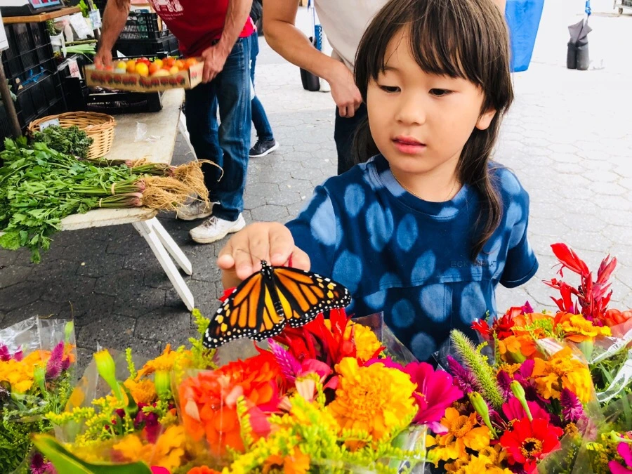 IMG_4425.jpg?type=w966