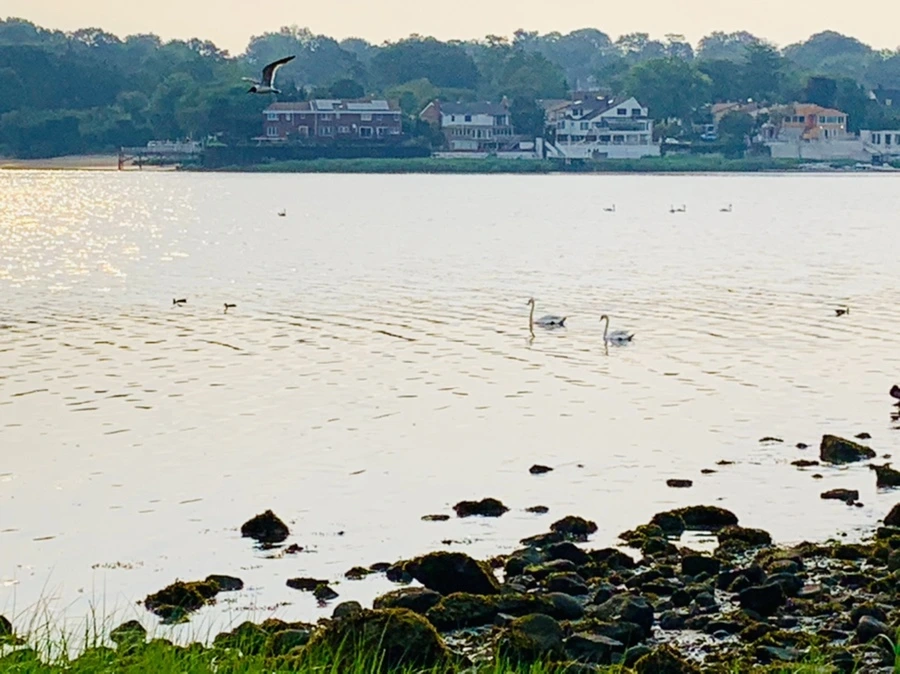 IMG_2257.jpg?type=w966