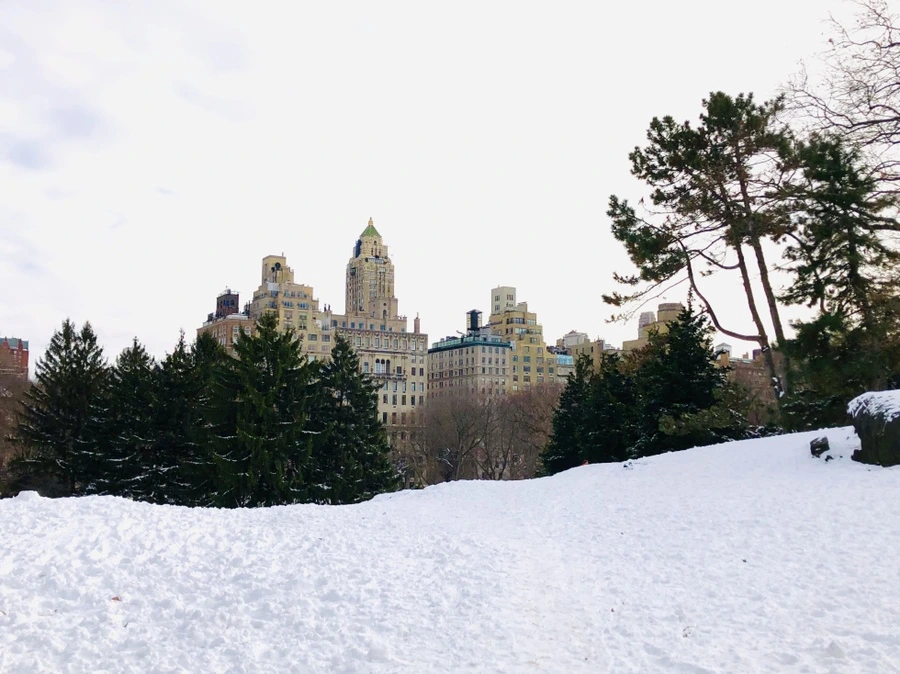 IMG_7287.jpg?type=w966