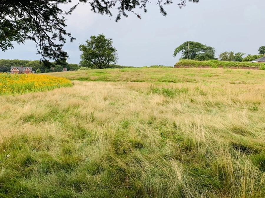 IMG_6847.jpg?type=w966