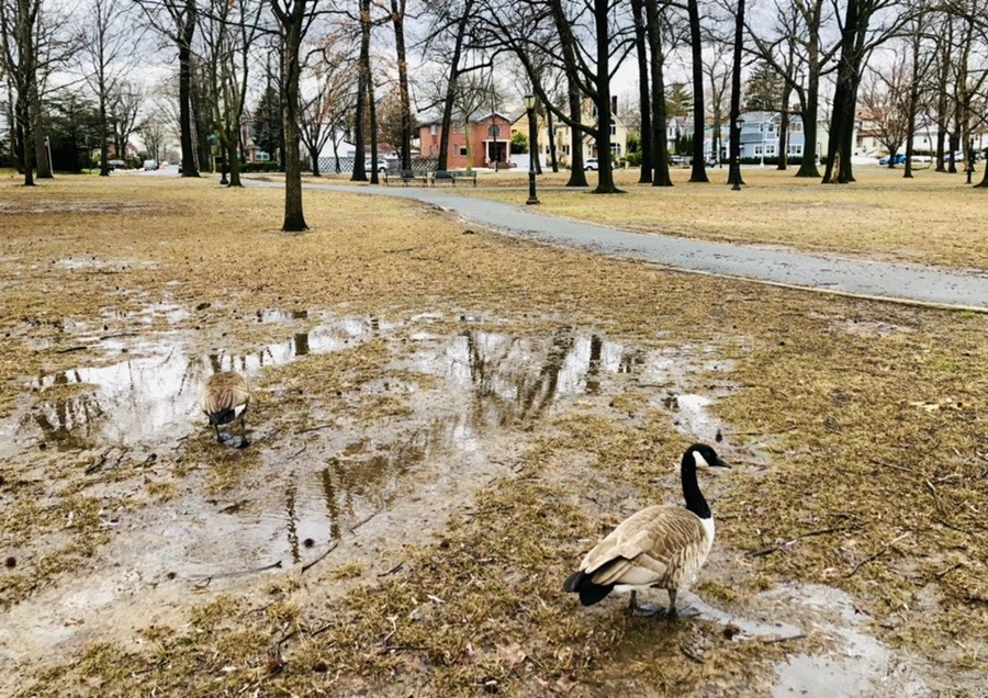 iv2-Jd6dhNHn_VPfrrng8bT1DTo