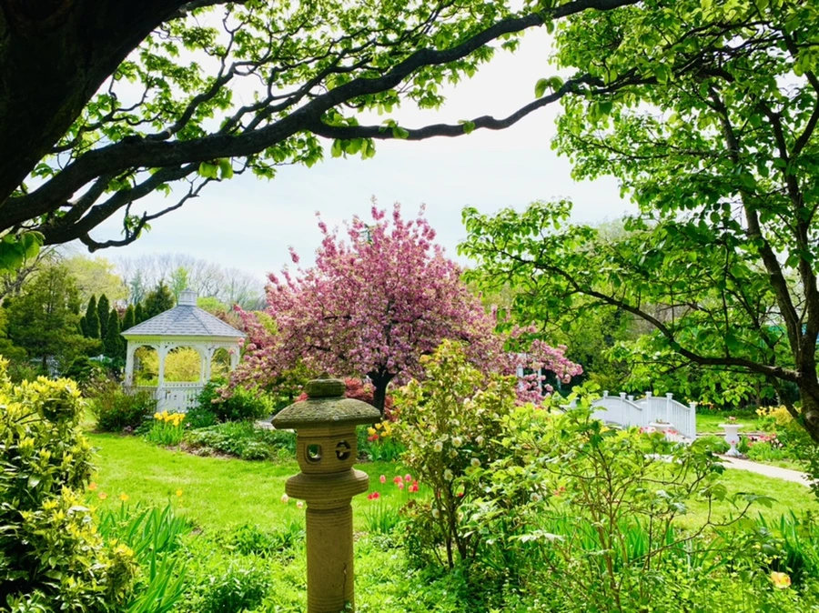 IMG_6926.jpg?type=w966