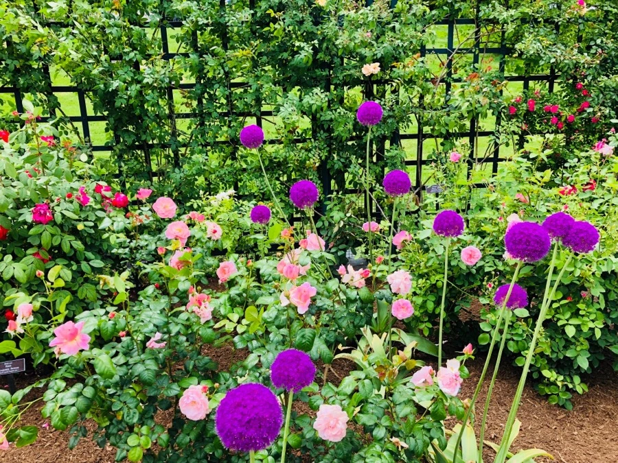 IMG_7208.jpg?type=w966