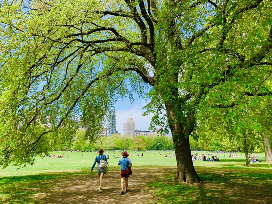 IMG_8778.jpg?type=w966