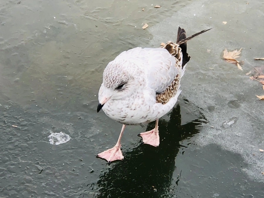 IMG_8637.jpg?type=w966