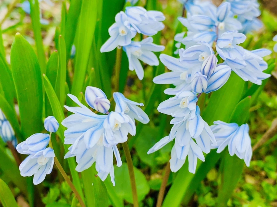 IMG_6725.jpg?type=w966