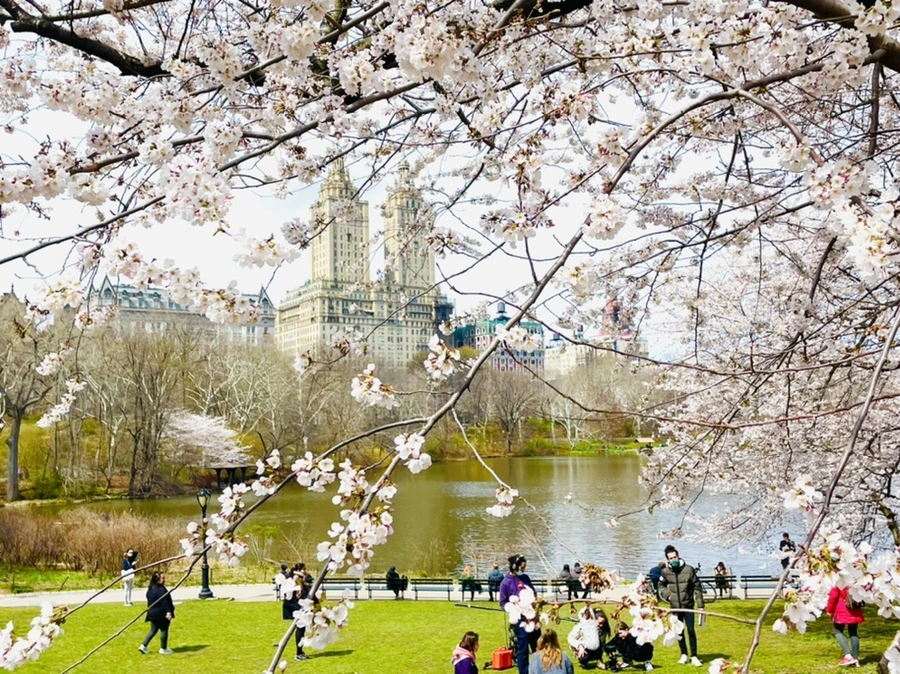 IMG_8829.jpg?type=w966