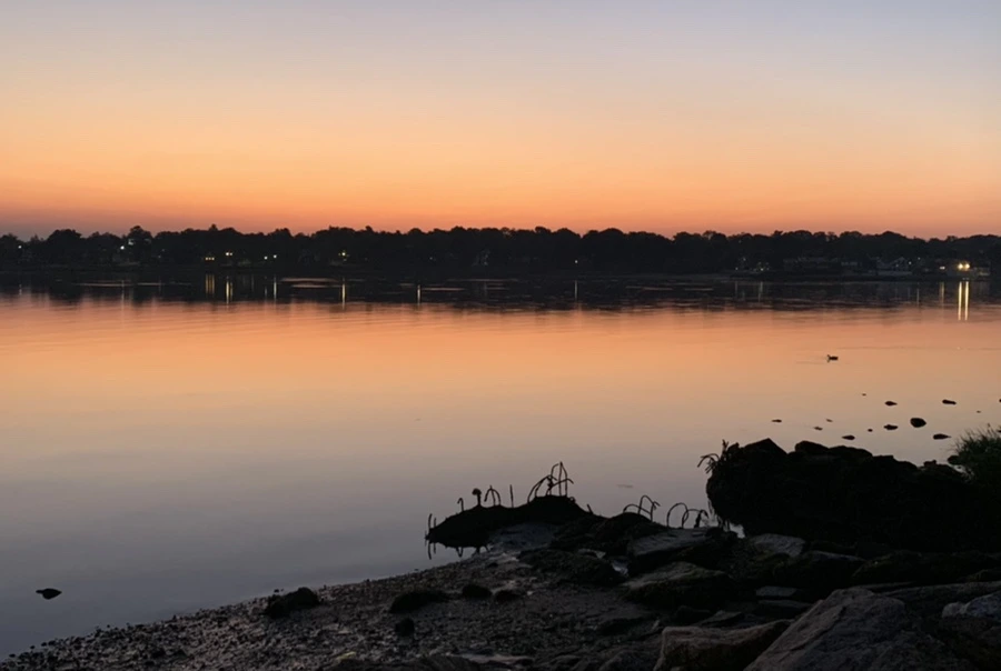 IMG_4310.jpg?type=w966