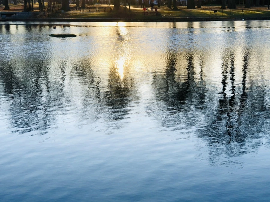 IMG_0906.jpg?type=w966