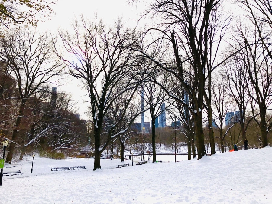 IMG_7264.jpg?type=w966