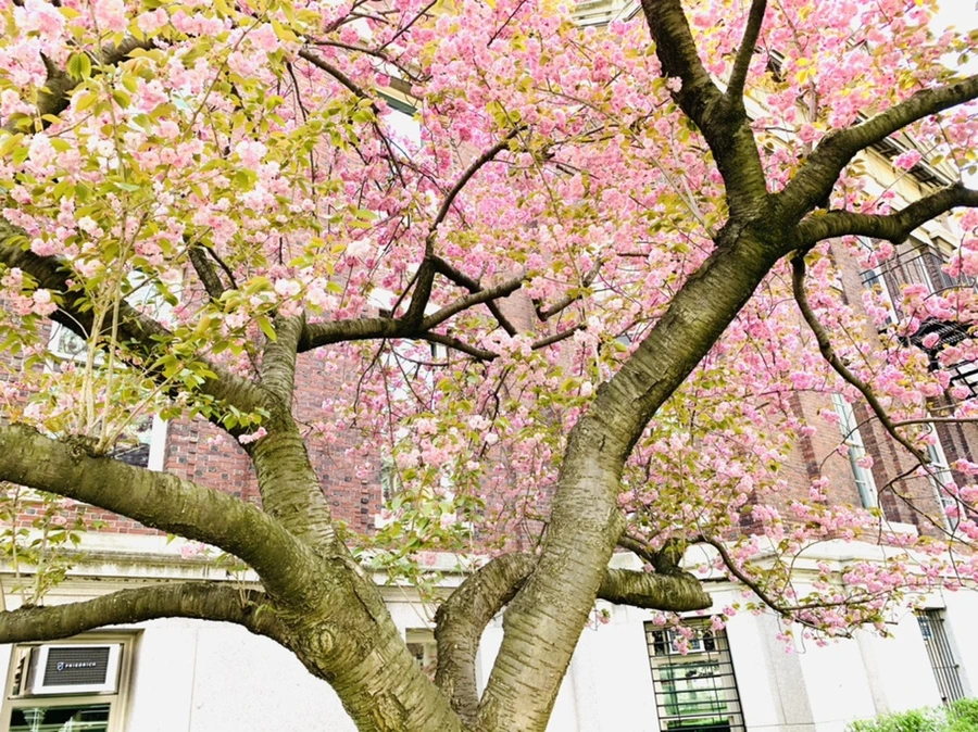 IMG_5108.jpg?type=w966