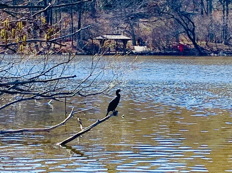 IMG_0714.jpg?type=w966