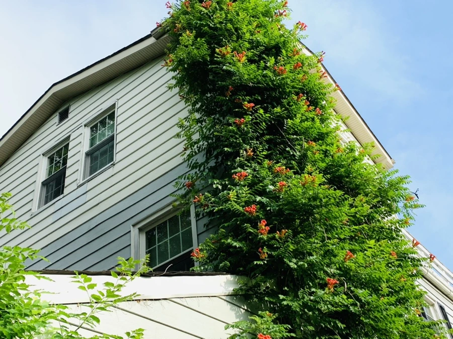 IMG_5721.jpg?type=w966